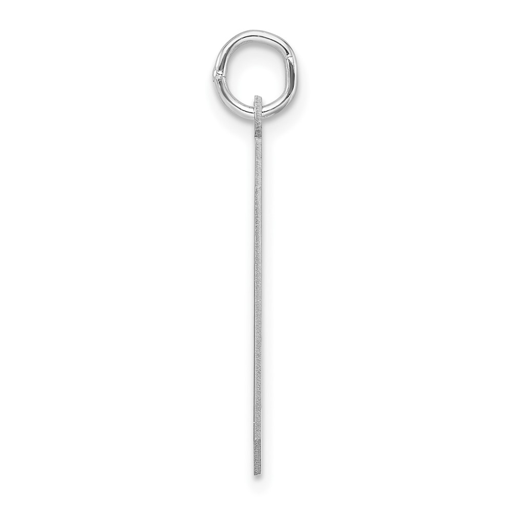 Sterling Silver/Rhodium-plated Polished Number 9 Charm (QPXL09)