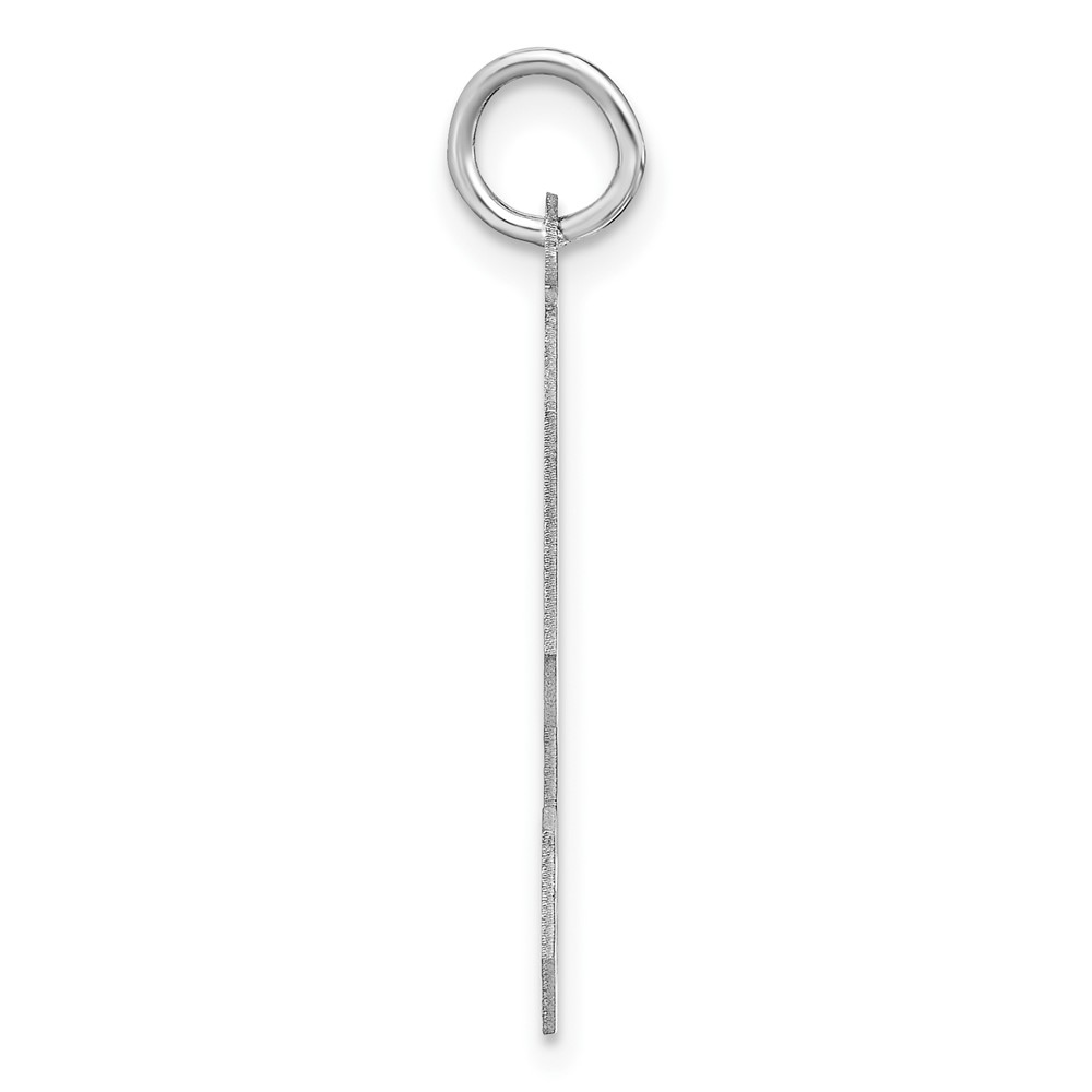 Sterling Silver/Rhodium-plated Satin Number 9 Charm (QPXP09)