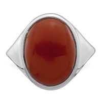 Sterling Silver Rhodium-plated Red Agate Ring view 5