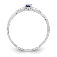 Sterling Silver Rhodium-plated Blue Color & White CZ Ring view 2
