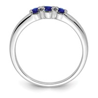 Sterling Silver Rhodium-plated Polished Sapphire Ring view 2