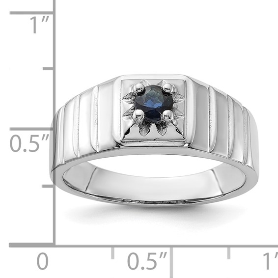 Sterling Silver Men's Gemstone Ring