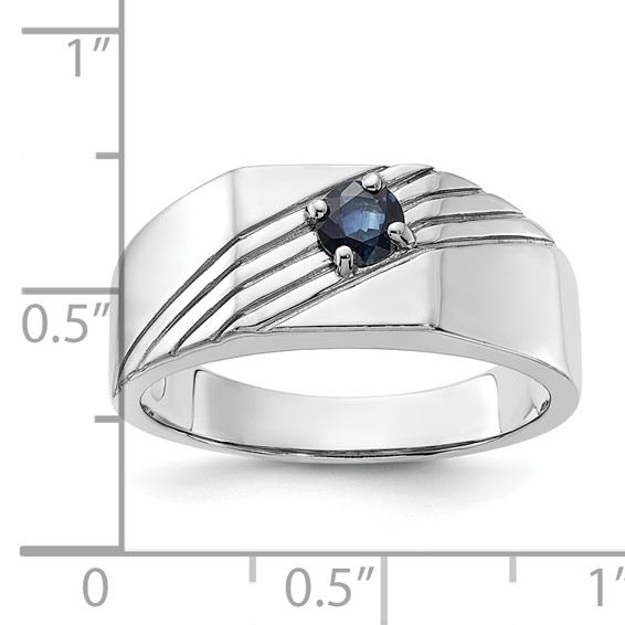 Sterling Silver Rhodium-plated Gemstone Signet Men's Rings