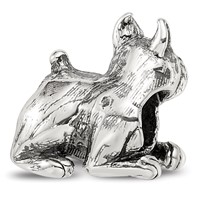 Sterling Silver Reflections Boxer Bead view 5
