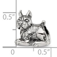 Sterling Silver Reflections Boxer Bead view 4