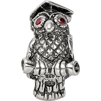 Sterling Silver Reflections Wise Owl Bead view 4