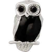 Sterling Silver Reflections Enameled Wise Owl Bead view 4