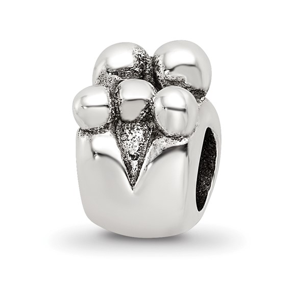 Sterling Silver Reflections Family of 5 Bead