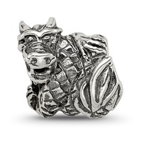 Sterling Silver Reflections Dragon Bead view 5