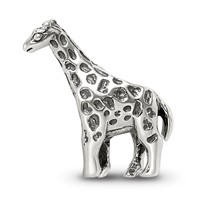 Sterling Silver Reflections Giraffe Bead view 4