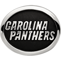 Sterling Silver LogoArt Enameled Carolina Panthers Nfl Bead view 4
