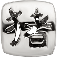 Sterling Silver Reflections Chinese Good Luck Bead view 3