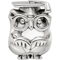 Sterling Silver Reflections Graduation Owl Bead view 3