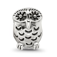 Sterling Silver Reflections Owl Bead view 4