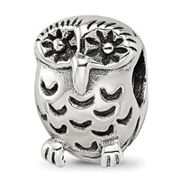 Sterling Silver Reflections Owl Bead view 1