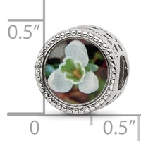 Sterling Silver Reflections Rhodium-plated January Flower Bead view 5
