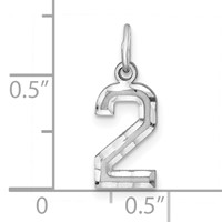 Sterling Silver Rhodium-plated Diamond-cut #2 Charm view 3