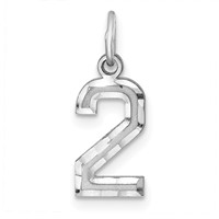 Sterling Silver Rhodium-plated Diamond-cut #2 Charm view 1