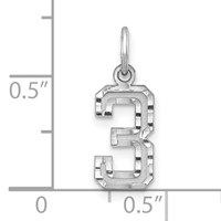 Sterling Silver Rhodium-plated Diamond-cut #3 Charm view 3