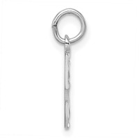 Sterling Silver Rhodium-plated Diamond-cut #5 Charm view 2