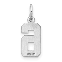 Sterling Silver Rhodium-plated Diamond-cut #6 Charm view 4