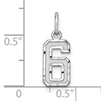 Sterling Silver Rhodium-plated Diamond-cut #6 Charm view 3