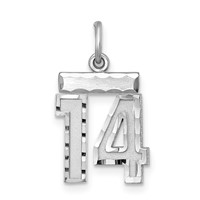 Sterling Silver Rhodium-plated Diamond-cut #14 Charm view 1