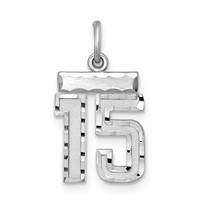 Sterling Silver Rhodium-plated Diamond-cut #15 Charm view 1