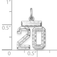 Sterling Silver Rhodium-plated Diamond-cut #20 Charm view 3