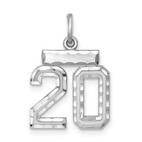 Sterling Silver Rhodium-plated Diamond-cut #20 Charm view 1