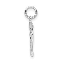 Sterling Silver Rhodium-plated Diamond-cut #22 Charm view 2