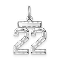 Sterling Silver Rhodium-plated Diamond-cut #22 Charm view 1