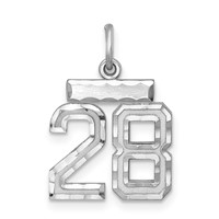 Sterling Silver Rhodium-plated Diamond-cut #28 Charm view 1