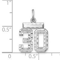 Sterling Silver Rhodium-plated Diamond-cut #30 Charm view 3