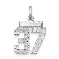 Sterling Silver Rhodium-plated Diamond-cut #37 Charm view 1