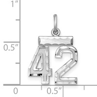 Sterling Silver Rhodium-plated Diamond-cut #42 Charm view 3