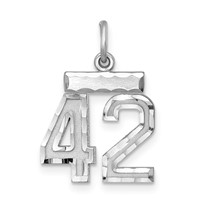 Sterling Silver Rhodium-plated Diamond-cut #42 Charm view 1