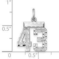 Sterling Silver Rhodium-plated Diamond-cut #43 Charm view 2