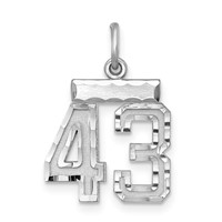 Sterling Silver Rhodium-plated Diamond-cut #43 Charm view 1