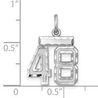 Sterling Silver Rhodium-plated Diamond-cut #48 Charm view 2