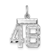 Sterling Silver Rhodium-plated Diamond-cut #48 Charm view 1