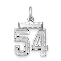 Sterling Silver Rhodium-plated Diamond-cut #54 Charm view 1