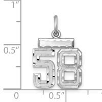 Sterling Silver Rhodium-plated Diamond-cut #58 Charm view 2
