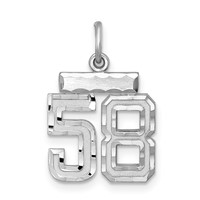 Sterling Silver Rhodium-plated Diamond-cut #58 Charm view 1
