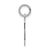 Sterling Silver Rhodium-plated Polished Number 2 Charm view 2