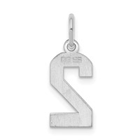 Sterling Silver Rhodium-plated Polished Number 2 Charm view 4