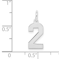 Sterling Silver Rhodium-plated Polished Number 2 Charm view 3
