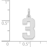 Sterling Silver Rhodium-plated Polished Number 3 Charm view 3