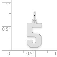 Sterling Silver Rhodium-plated Polished Number 5 Charm view 3