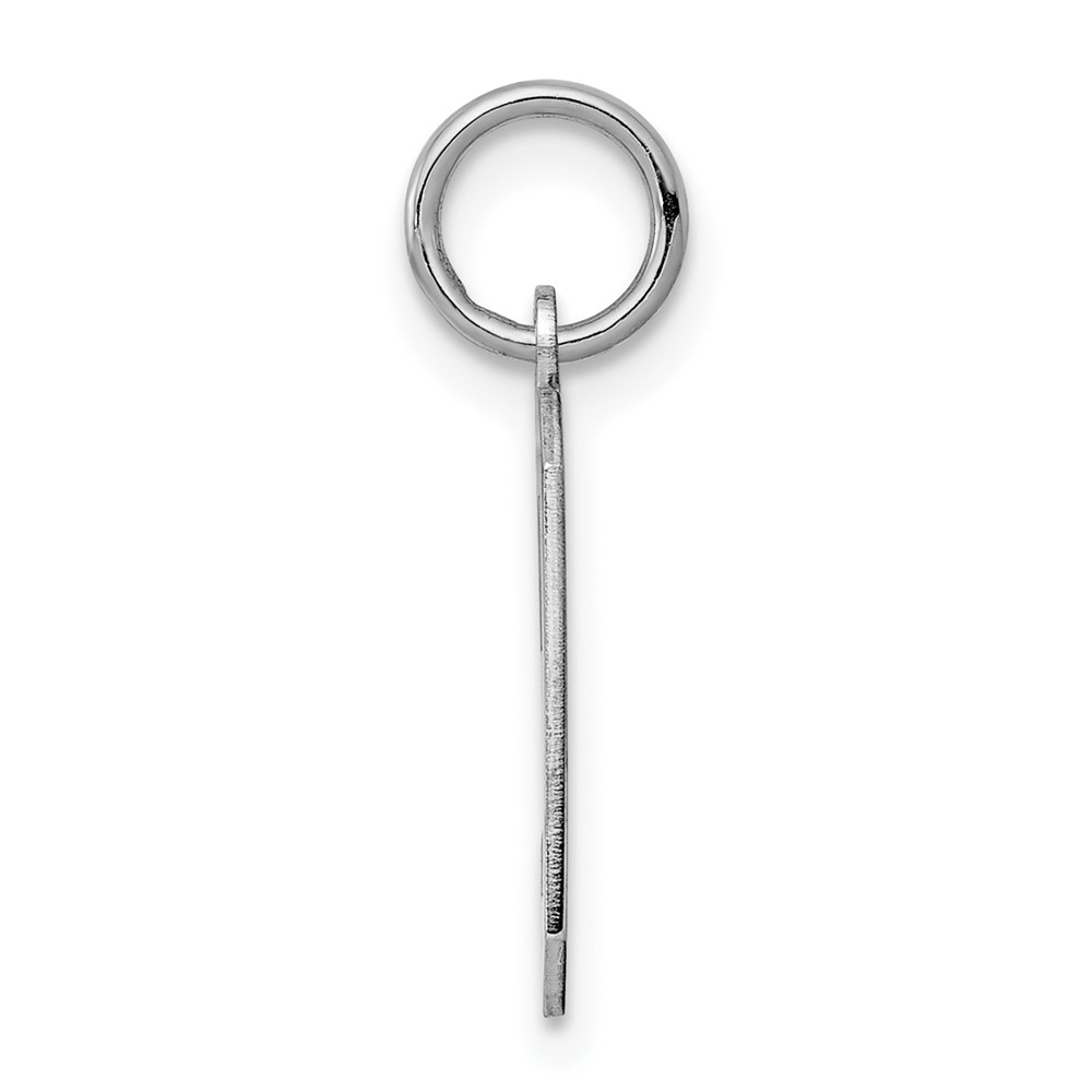 Sterling Silver/Rhodium-plated Polished Number 9 Charm (QSS09)